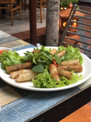 Deep fried spring rolls  at BamBoo Vegan in Nha Trang