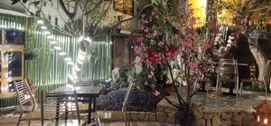 Garden outside at BamBoo Vegan in Nha Trang