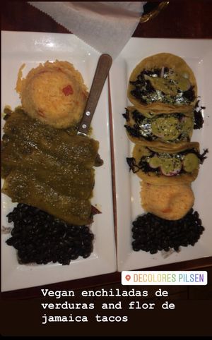 Delicious enchiladas with salsa verde and tacos de flor de jamaica  at DeColores in Chicago