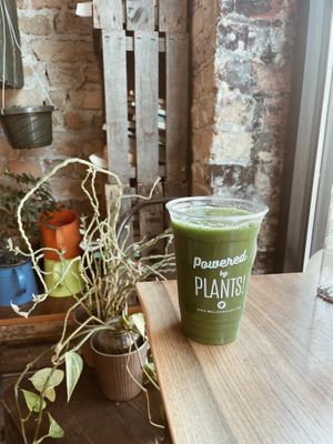 Recover green juice with apple, ginger, grapefruit, kale, & cucumber.  at Belli's in Chicago
