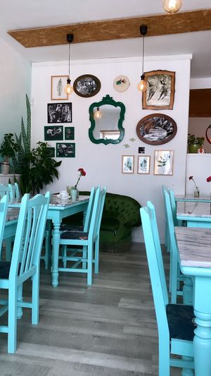   at Veg & Tal in Sines