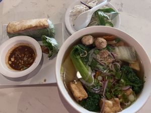 Tofu rolls & vegan pho  at Pho Play in Castro Valley