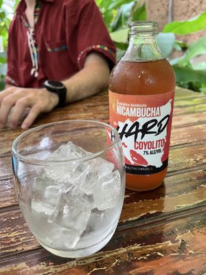 A very yummy hard kombucha!  at Coco Calala in Leon