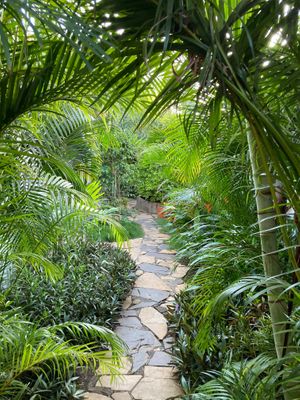 The beautiful setting at Coco Calala in Leon