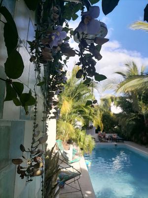  at Coco Calala in Leon