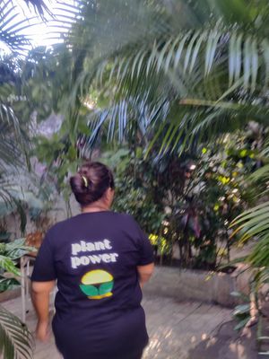  at Coco Calala in Leon