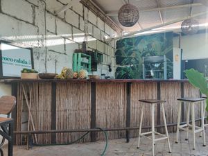Counter at Coco Calala in Leon