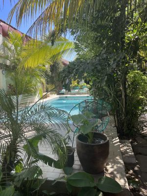   at Coco Calala in Leon