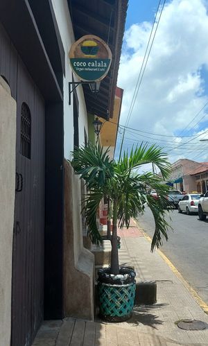  at Coco Calala in Leon