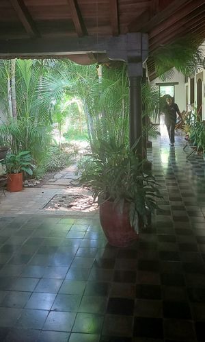  at Coco Calala in Leon