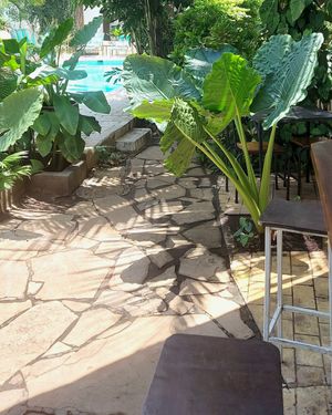  at Coco Calala in Leon