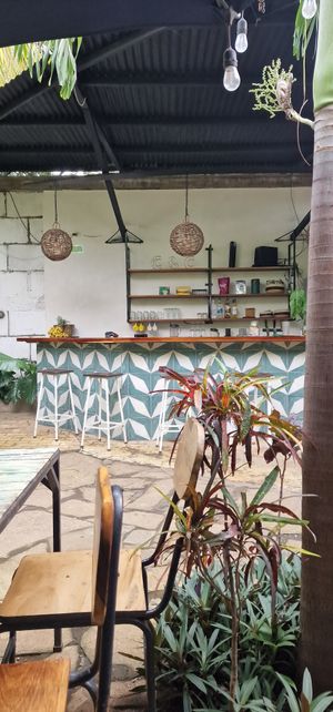 The bar at Coco Calala in Leon