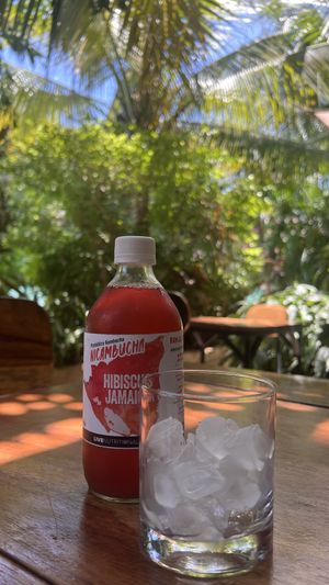 Kombucha  at Coco Calala in Leon