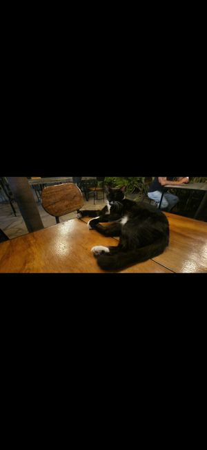  at Coco Calala in Leon