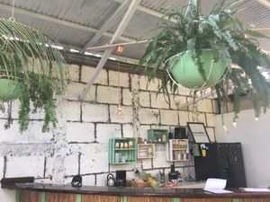 Bar at Coco Calala in Leon