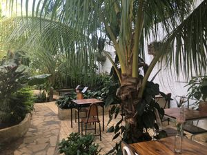 Sitting area at Coco Calala in Leon