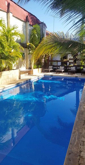 Amazing pool at Coco Calala in Leon