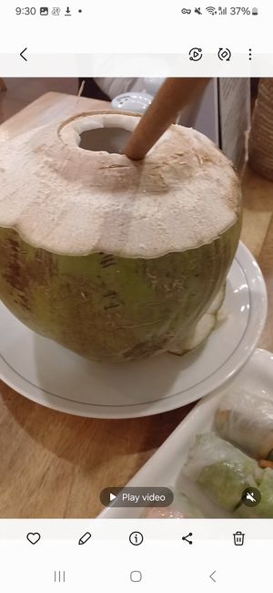 Coconut water at Tevy's Place in Siem Reap