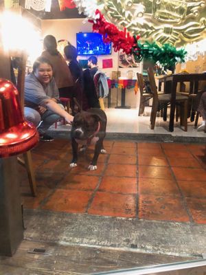 Best dining companion ! at Teotihuacan in Taipei