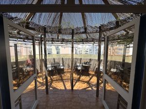 Front terrace lovely light   at Balance Cafe in Portimao