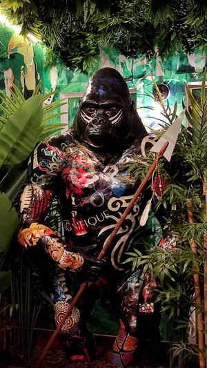  at Kong - Food Made With Compassion in Lisbon