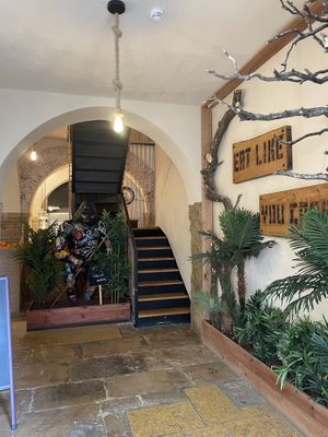 Excellent restaurant végan, très bien mangé. Une équipe au top. Hâte d’y revenir avec des amis et famille.  #Veganuary at Kong - Food Made With Compassion in Lisbon