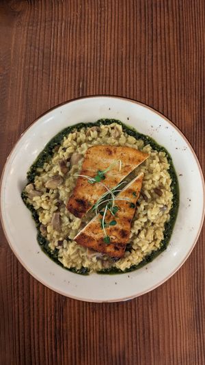 Risotto at Kong - Food Made With Compassion in Lisbon