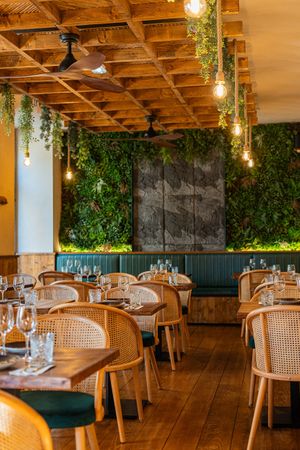 Main Room at Kong - Food Made With Compassion in Lisbon