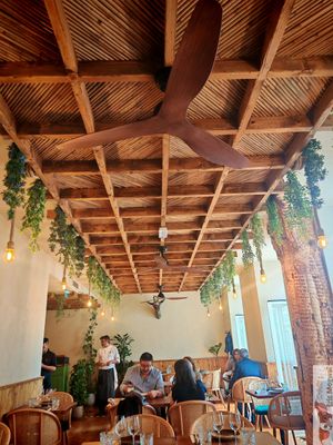 Inside at Kong - Food Made With Compassion in Lisbon