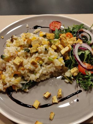 dish of the day at Kong - Food Made With Compassion in Lisbon