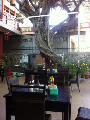 Inside the restaurant at Thien Duyet in Nha Trang