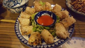 Very good fried spring rolls at Lien Hoa in Hue