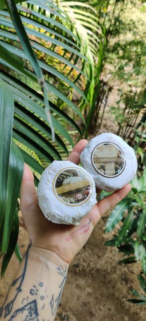 Vegan cheese at Deli Devi in Koh Phangan