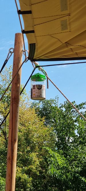  at Tavci Kuhna in Lesce