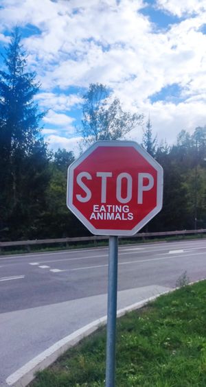  at Tavci Kuhna in Lesce