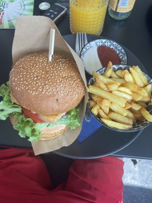 Chicken style burger with chips   at Tavci Kuhna in Lesce