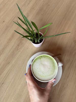 Oat matcha latte  at Tavci Kuhna in Lesce