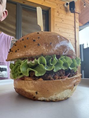 Shroomzie  at Tavci Kuhna in Lesce