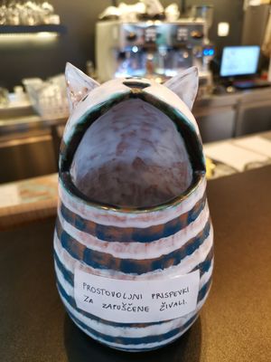 Contributions pot for animal shelter. at Tavci Kuhna in Lesce