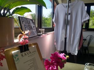 T-shirts for sale and nice backpacks too at Tavci Kuhna in Lesce