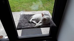 Friendly and a "hit" with the patrons. at Tavci Kuhna in Lesce