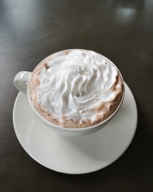 Cocoa with whipped cream at Tavci Kuhna in Lesce