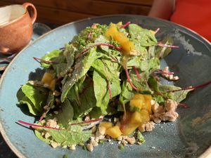 Spicy mango avocado   at Cafe Drechsler in Vienna