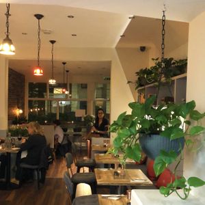 Inside Supplant - yes, with plants - what did you expect? at Supplant Foods  in North London