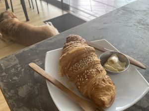 Croissant and Dog, Same Same  at MIXT in San Jose