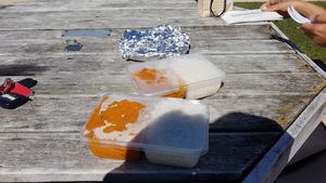Shared Take Away Mushroom Masala at Indian Springs in Hanmer Springs