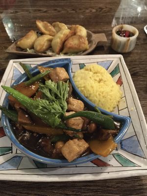 Pakvet (okra, squash, eggplant with rice) and gyoza   at Verde Rekado in Coron