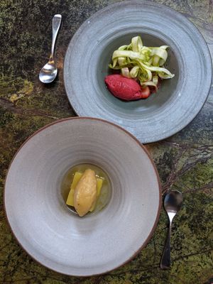 vegan dessert: sorbets at Fava Tonka in Matosinhos