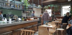 Fava Tonka at Fava Tonka in Matosinhos