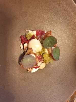 Melancia assada?? com tomate confitado?? e brioche .. but you can't see the brioche here😄
Can't remember the description for this one tbh. at Arkhe in Lisbon